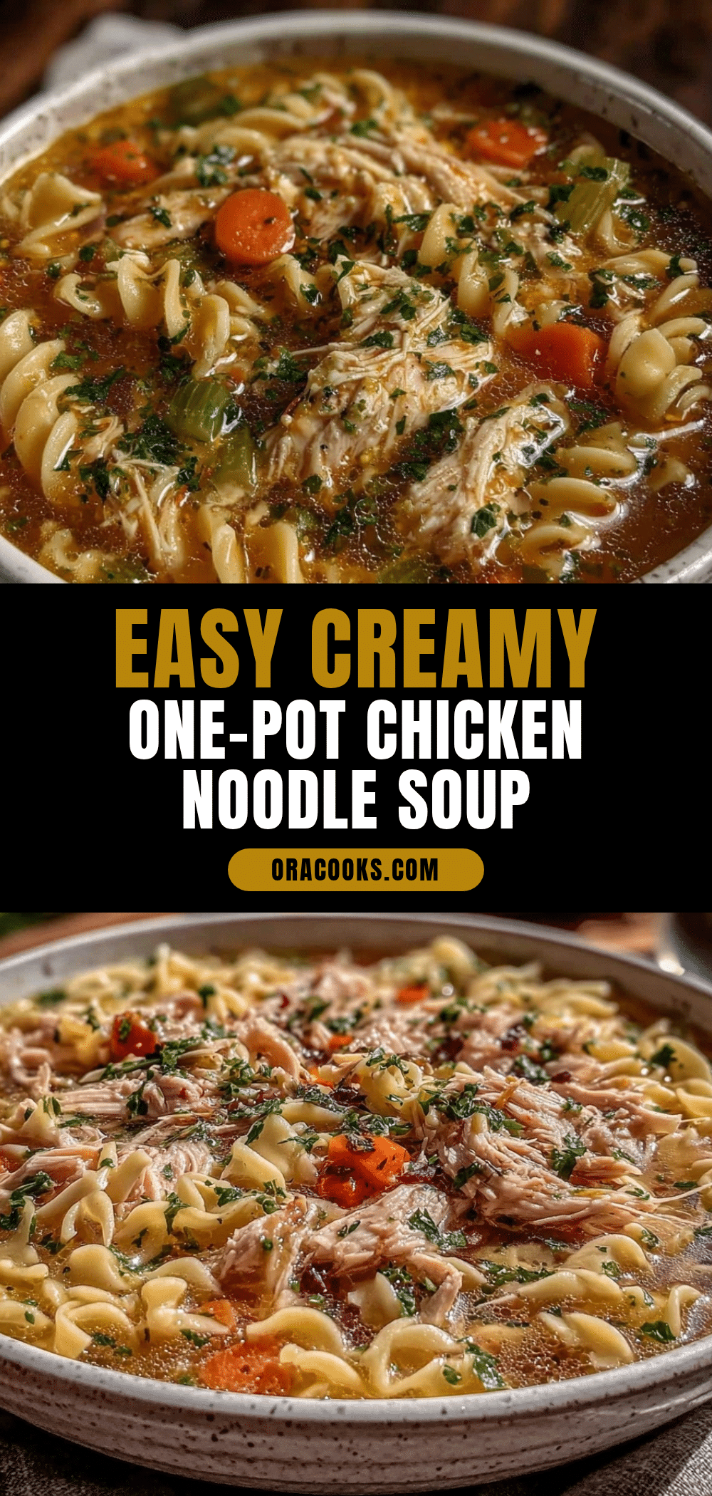 easy one-pot chicken noodle soup recipe