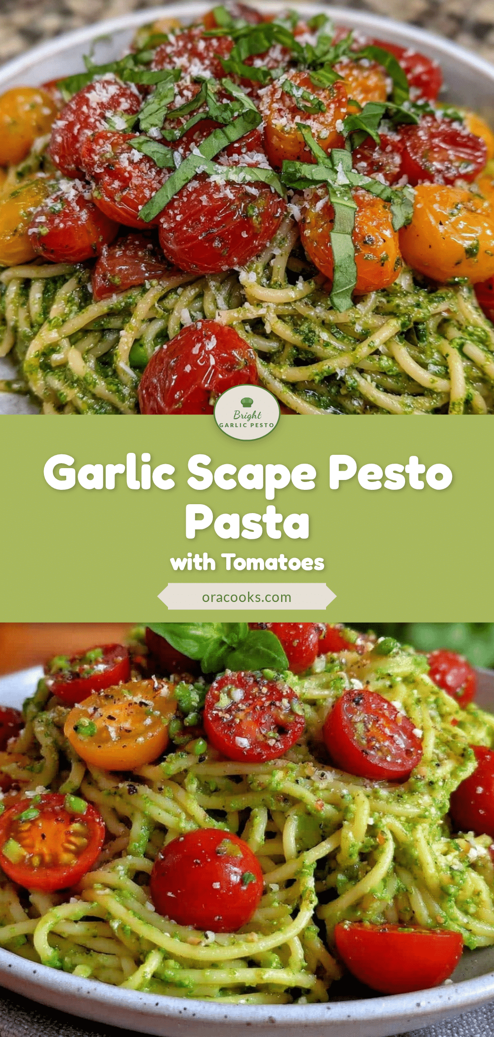 fresh garlic scape pesto pasta recipe