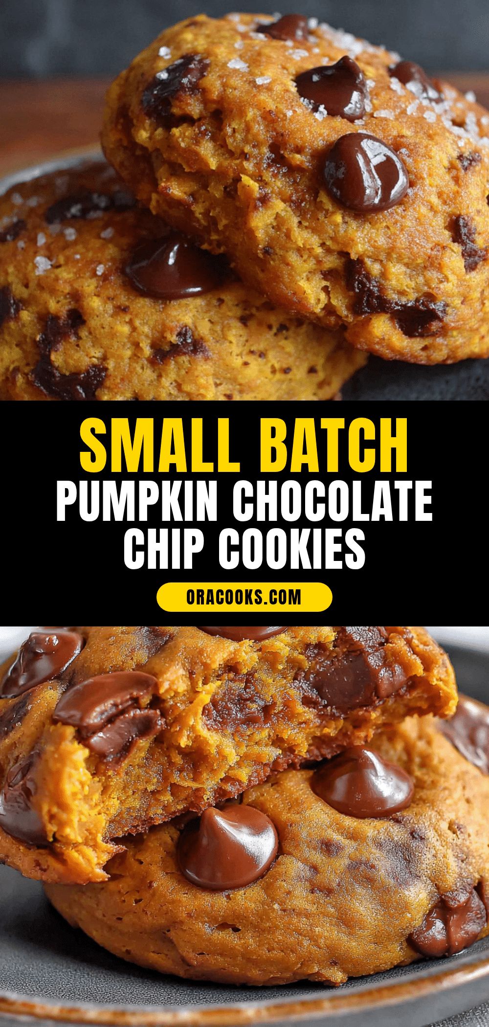 cozy small-batch pumpkin chocolate chip cookies recipe