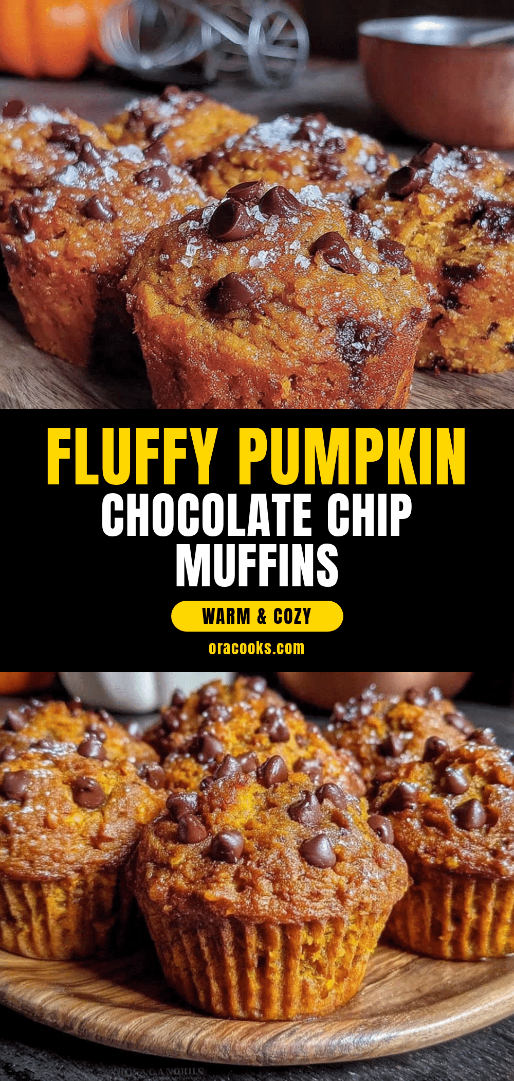 small-batch pumpkin chocolate chip muffins recipe
