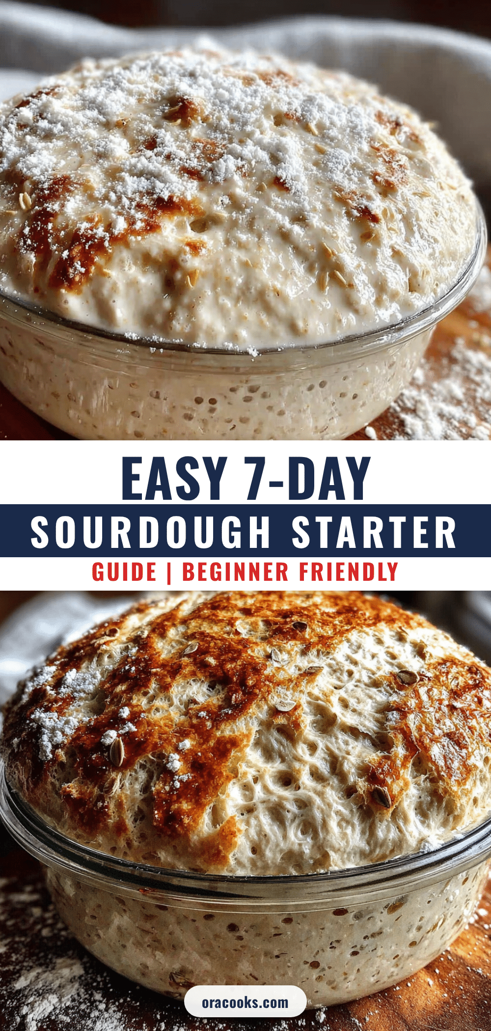 sourdough starter recipe for beginners recipe