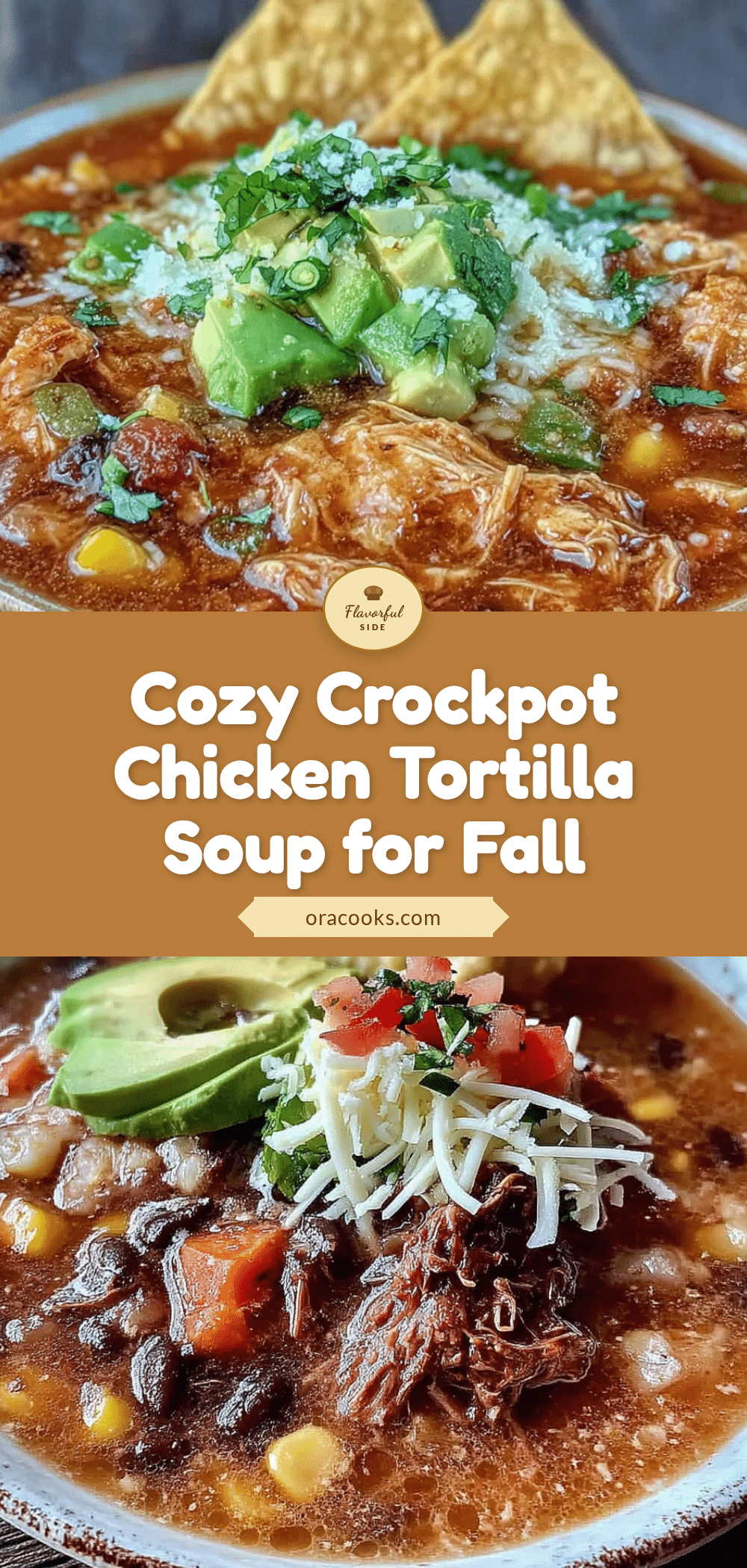 crockpot chicken tortilla soup recipe