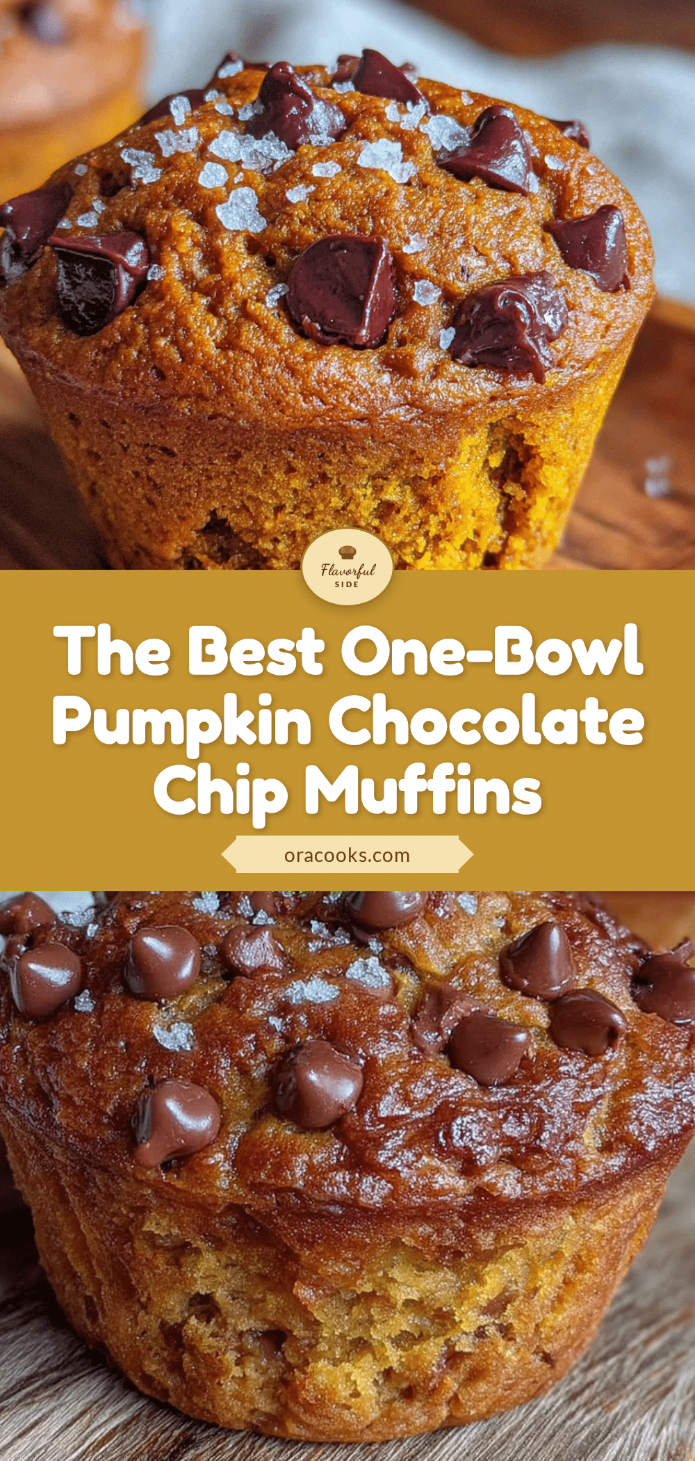 pumpkin chocolate chip muffins recipe