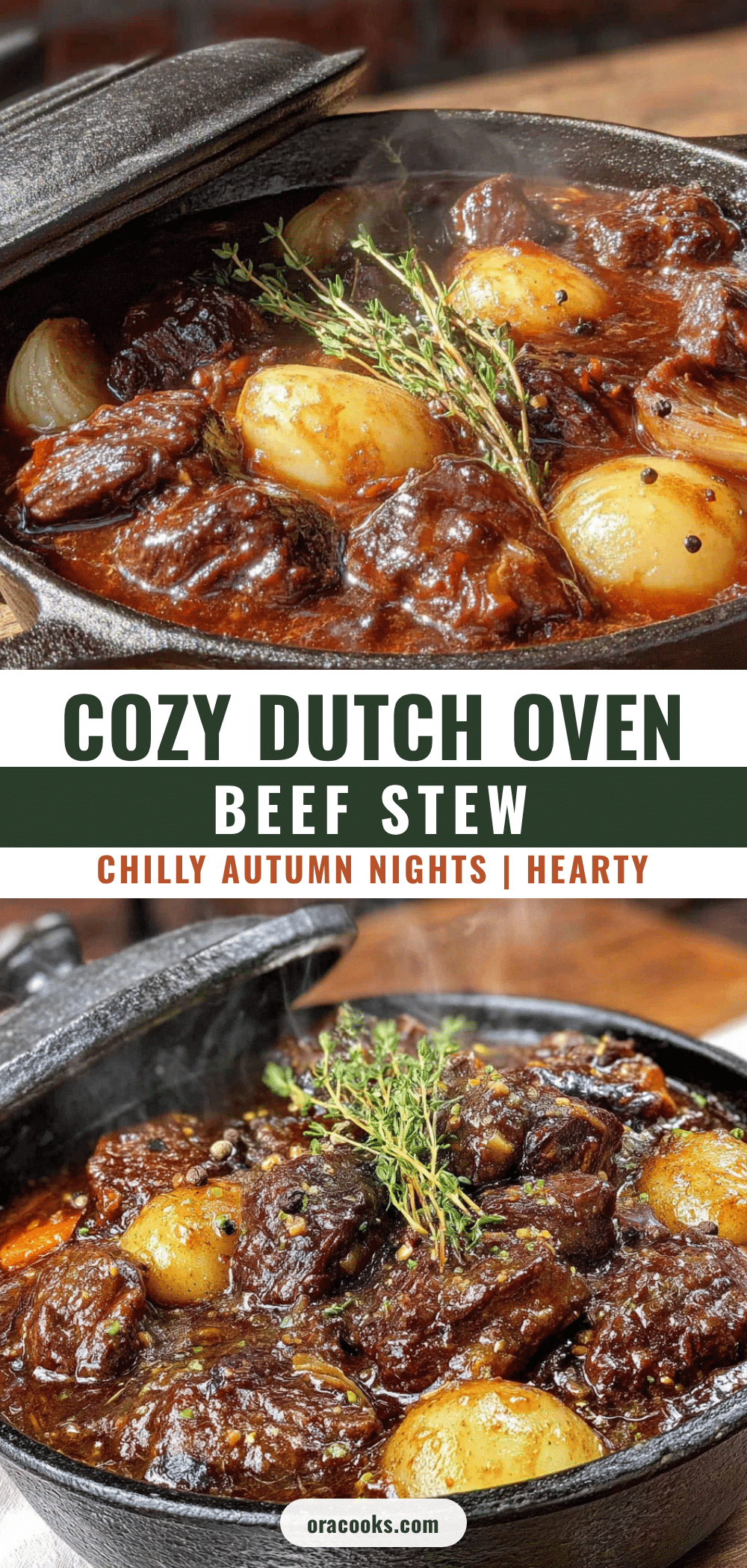dutch oven beef stew recipe